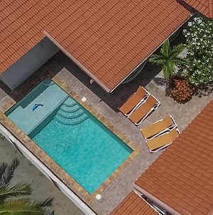 Villa Swiss Paradise With Private Pool Παλμ Μπιτς Exterior photo