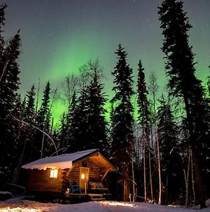 Studio Log Cabin With Aurora Views Βίλα Φέρμπανκς Exterior photo