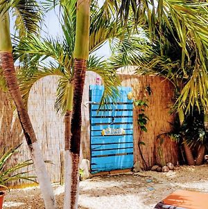 Barefoot Bonaire Διαμέρισμα Κράλεντικ Exterior photo