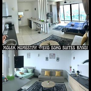 Evo Soho Studio Suites Bangi By Molek Homestay Kampong Sungai Ramal Dalam Exterior photo
