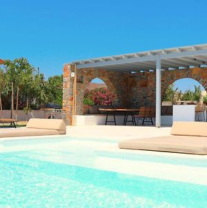 The Nine Graces - Kastraki Villas With Private Swimming Pool Exterior photo