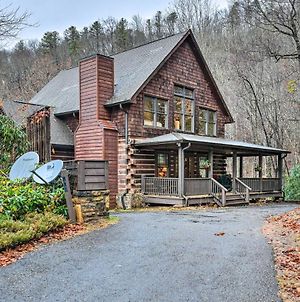 New! Wildflower Luxury Cabin With Hot Tub And Views! Βίλα Franklin Exterior photo