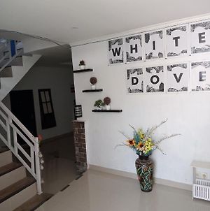 House White Dove Ξενοδοχείο Dalung  Exterior photo