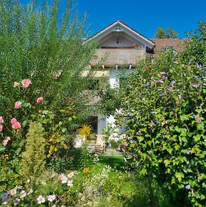 Traumhafte Gartenwohnung In Uberlinger Hanglage - Zur Goldenen Kiwi Uberlingen Exterior photo