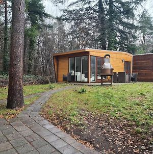 Freestanding Vacation Home With In The Woods Beekbergen Exterior photo