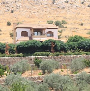 Rosa Farm, Jerash Most Beautiful Villa Γέρασα Exterior photo