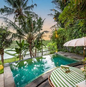 Tropical Private Villa 3 Bedroom Canggu Ricefield View Exterior photo
