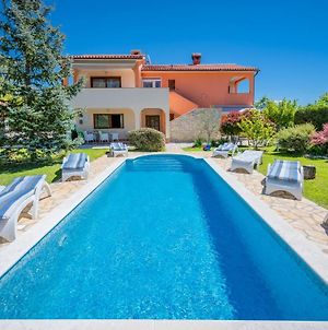 Beautiful Villa Santa Domenica With Private Pool Nedeščina Exterior photo