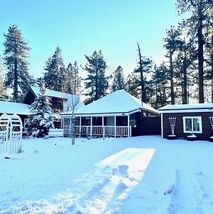 Chipmunk House - Magical Boulder Bay Cottage Within A Picturesque Setting! Cabin Big Bear Lake Exterior photo