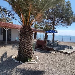 Peaceful 2 Bedroom Cottage By The Sea And Wetlands Μεσολόγγι Exterior photo