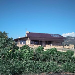 Spacious Rustic Country House With Sea View Μαρωνεία Exterior photo
