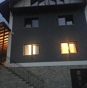Vila Melissa Bran Tohanita Zărneşti Exterior photo