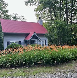 Lily Cabin At Blairsville Βίλα Exterior photo