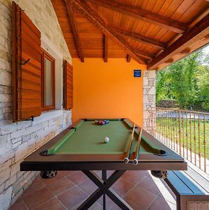 Beautiful Villa Bacio With Private Pool Near Labin Nedeščina Exterior photo