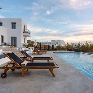 Villa Naxian Perfection Naxos City Exterior photo