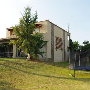 Villa Vasili Τρίκαλα Exterior photo