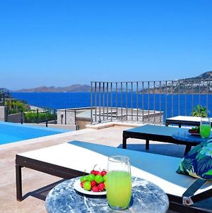 5 Bedroom Luxury Villa With Private Pool And Private Beach In Bodrum-Gumusluk 2 Exterior photo