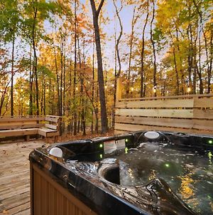 Cozy Bear-Themed Mountain Cabin, Relaxing Hot Tub Βίλα Harpers Ferry Exterior photo