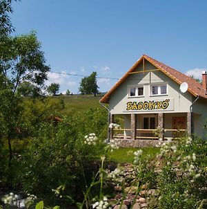 Bagolyko Guesthouse Izvoare  Exterior photo