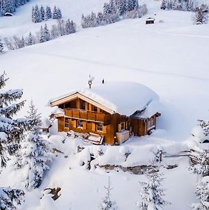 Cozy Hut In Pinzgau With Finnish Sauna Dorf  Exterior photo