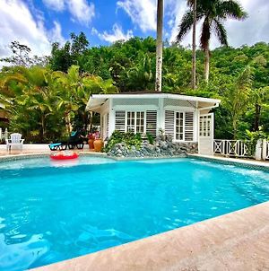 Riverhouse Villa Jamaica Κίνγκστον Exterior photo