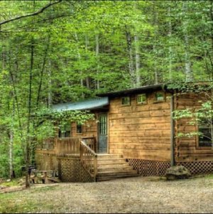 Log Cabin Tiny Home Bryson City Exterior photo