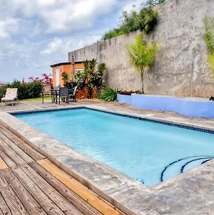 Vieques Island House With Caribbean Views And Pool! Βίλα Exterior photo