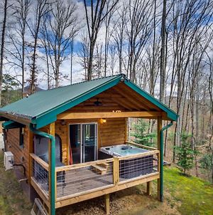 Superb Bryson City Studio Cabin With Hot Tub And Patio! Exterior photo