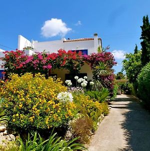 Villa Oasis Plaka Kreta Exterior photo