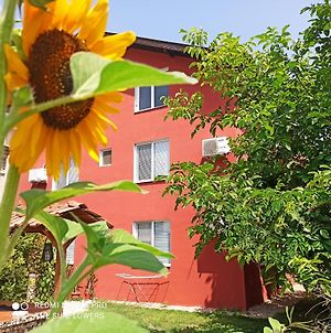 Guest House Sunflowers Πομόριε Exterior photo
