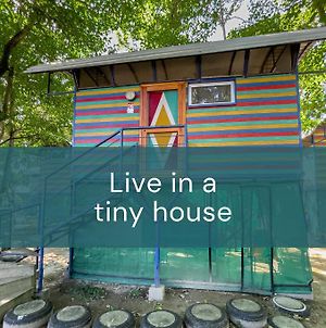 Adorable Colorful Tiny House Sorrounded By Trees Διαμέρισμα Σαν Πέδρο Σούλα Exterior photo