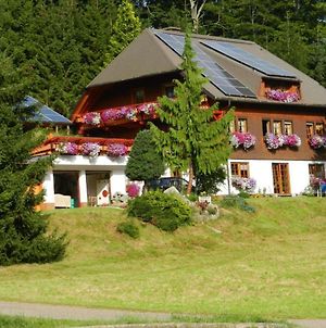 Haus Maria Brinkhus Ξενοδοχείο Schonach im Schwarzwald Exterior photo