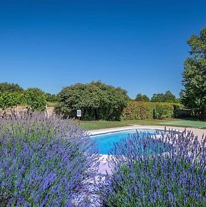 Amazing Luxury Villa With A Private Pool Svetvinčenat Exterior photo
