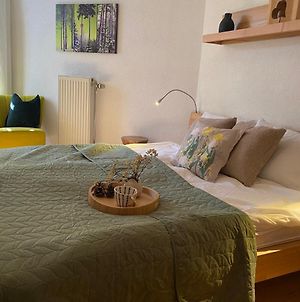 S' Bachle Apartment Direkt An Wanderwegen Zum Feldberg Mit Sauna Im Haus Und Tiefgarage Todtnau Exterior photo