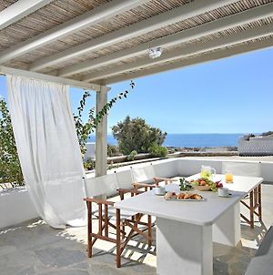 Sea Esta Private Villa With Jacuzzi - Mykonos Ελιά Exterior photo