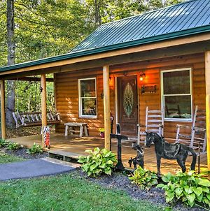 Smoky Mountain Rustic Log Cabin With Furnished Patio Βίλα Cosby Exterior photo