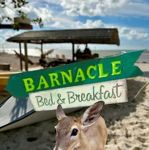 Barnacle Bed And Breakfast Big Pine Key Exterior photo