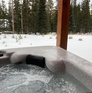 New Hot Tub! Secluded, Tucked Away Cabin Βίλα Fairplay Exterior photo