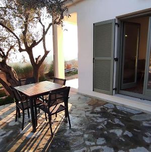 Home In The Olive Grove Melissatika Exterior photo