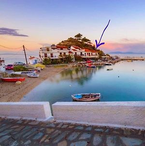 Sylvia'S House - A Unique Waterfront Location Βίλα Samos Island Exterior photo