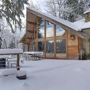 Clear Creek Cabin Βίλα Rhododendron Exterior photo