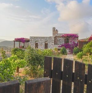 Chrisa' S Country House Βίλα Naxos City Exterior photo