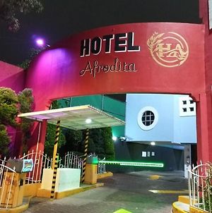 Hotel Afrodita Μεξικό Exterior photo