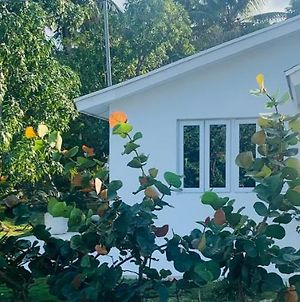 The Cay House Ξενοδοχείο Mangrove Cay Exterior photo