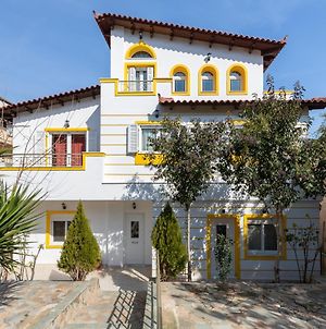 Golden Seaside House Number 2 Βίλα Σαλαμίνα Exterior photo