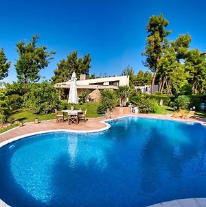 Experience The Luxurious Life At Villa Naoumi Elani Exterior photo