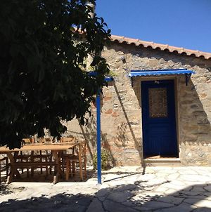 House In Samos With Private Garden - Ano Vathi Βίλα Samos Island Exterior photo