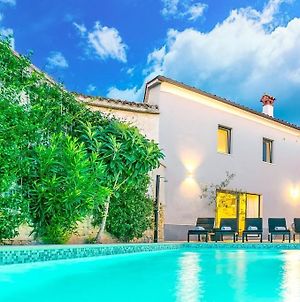 Villa Latini - Ideal For A Family Vacation. Heated Pool. Local Breakfast Optional Available Svetvinčenat Exterior photo