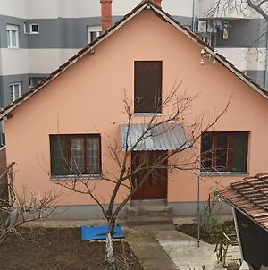 Apartman Gligorijevic Διαμέρισμα Πίροτ Exterior photo