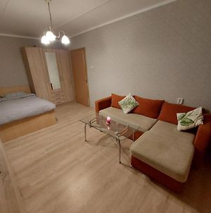 The Comfortable Apartment Ταλίν Exterior photo